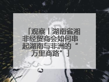 观察丨湖南省湘非经贸商会如何串起湖南与非洲的“万里商路”
