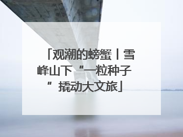 观潮的螃蟹丨雪峰山下“一粒种子”撬动大文旅