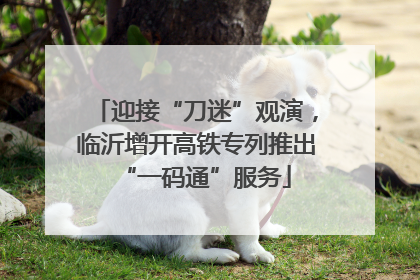 迎接“刀迷”观演，临沂增开高铁专列推出“一码通”服务