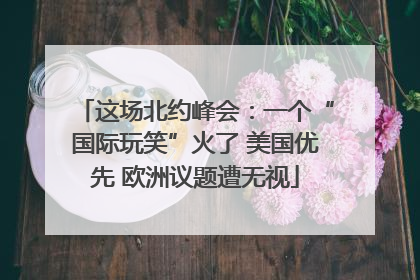 这场北约峰会：一个“国际玩笑”火了 美国优先 欧洲议题遭无视
