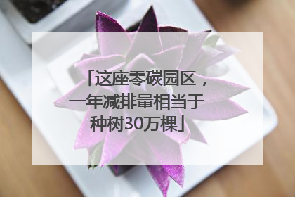 这座零碳园区，一年减排量相当于种树30万棵