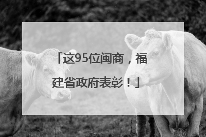 这95位闽商，福建省政府表彰！