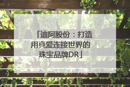 迪阿股份：打造用真爱连接世界的珠宝品牌DR