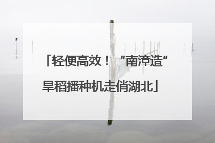 轻便高效！“南漳造”旱稻播种机走俏湖北