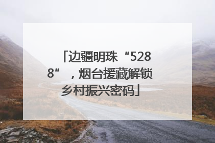 边疆明珠“5288”，烟台援藏解锁乡村振兴密码