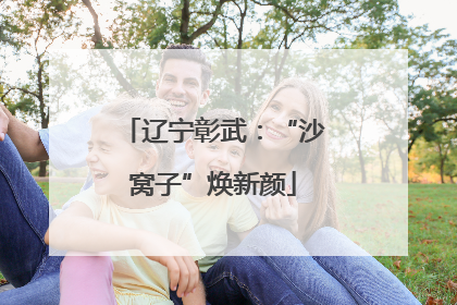 辽宁彰武：“沙窝子”焕新颜