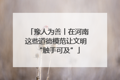 豫人为善丨在河南这些道德模范让文明“触手可及”