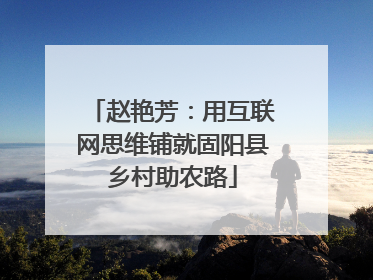 赵艳芳：用互联网思维铺就固阳县乡村助农路