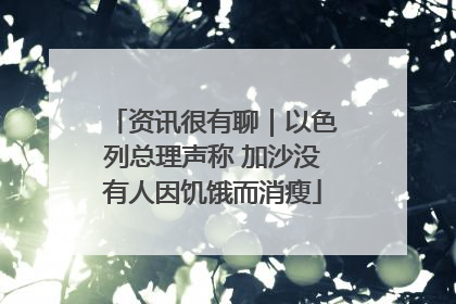 资讯很有聊｜以色列总理声称 加沙没有人因饥饿而消瘦