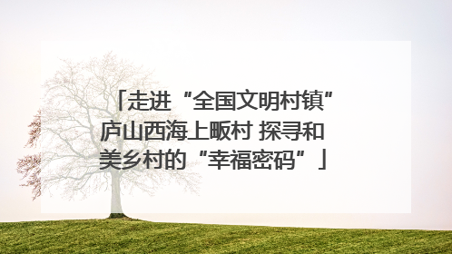 走进“全国文明村镇”庐山西海上畈村 探寻和美乡村的“幸福密码”