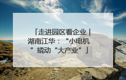 走进园区看企业｜湖南江华：“小电机”撬动“大产业”