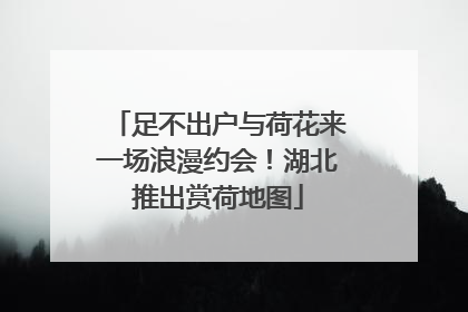 足不出户与荷花来一场浪漫约会！湖北推出赏荷地图