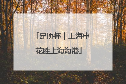 足协杯｜上海申花胜上海海港