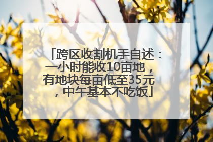 跨区收割机手自述：一小时能收10亩地，有地块每亩低至35元，中午基本不吃饭