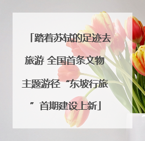 踏着苏轼的足迹去旅游 全国首条文物主题游径“东坡行旅”首期建设上新