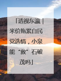 透视东瀛｜米价拖累自民党选情，小泉能“救”石破茂吗