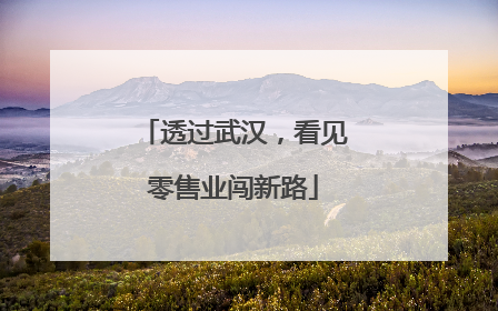 透过武汉，看见零售业闯新路