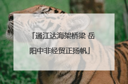 通江达海架桥梁 岳阳中非经贸正扬帆