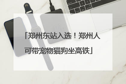 郑州东站入选！郑州人可带宠物猫狗坐高铁