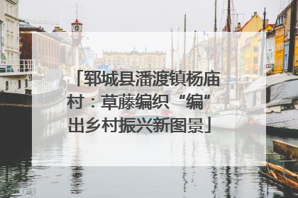 郓城县潘渡镇杨庙村：草藤编织“编”出乡村振兴新图景