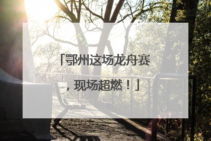 鄂州这场龙舟赛，现场超燃！