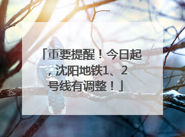 重要提醒！今日起，沈阳地铁1、2 号线有调整！