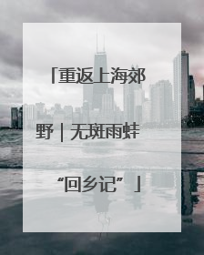重返上海郊野｜无斑雨蛙“回乡记”