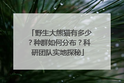 野生大熊猫有多少？种群如何分布？科研团队实地探秘