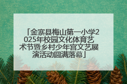 金寨县梅山第一小学2025年校园文化体育艺术节暨乡村少年宫文艺展演活动圆满落幕
