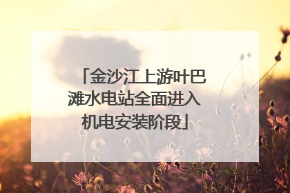 金沙江上游叶巴滩水电站全面进入机电安装阶段