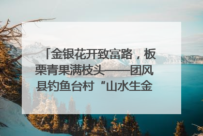 金银花开致富路，板栗青果满枝头——团风县钓鱼台村“山水生金”谱写共富新篇章