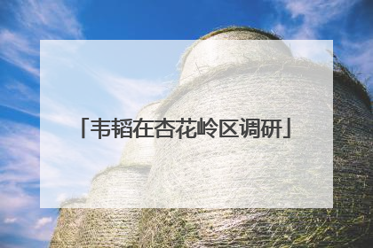 韦韬在杏花岭区调研