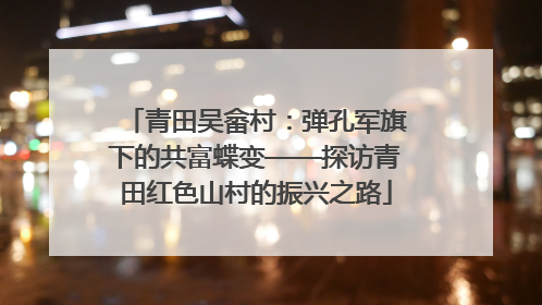 青田吴畲村：弹孔军旗下的共富蝶变——探访青田红色山村的振兴之路