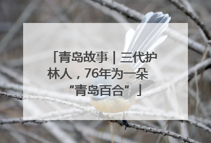 青岛故事｜三代护林人，76年为一朵“青岛百合”