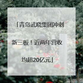青岛武晓集团冲刺新三板！近两年营收均超20亿元