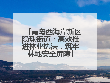 青岛西海岸新区隐珠街道：高效推进林业执法，筑牢林地安全屏障