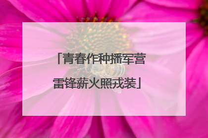 青春作种播军营 雷锋薪火照戎装