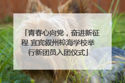 青春心向党，奋进新征程 宜宾叙州樟海学校举行新团员入团仪式