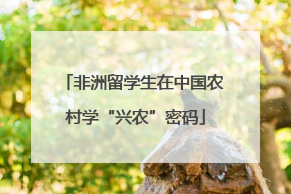 非洲留学生在中国农村学“兴农”密码