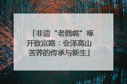 非遗“老鹳嘴”啄开致富路：会泽高山苦荞的传承与新生