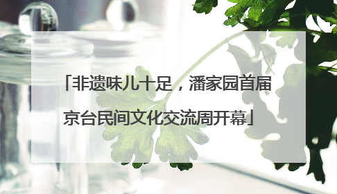 非遗味儿十足，潘家园首届京台民间文化交流周开幕
