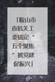 鞍山市直机关工委锚定“五个聚焦”抓党建促振兴