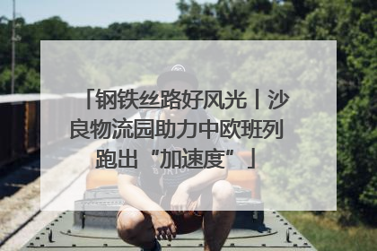 钢铁丝路好风光丨沙良物流园助力中欧班列跑出“加速度”