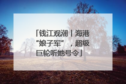 钱江观潮丨海港“娘子军”，超级巨轮听她号令
