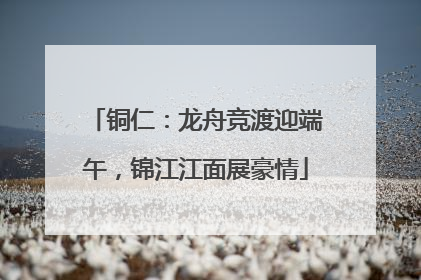 铜仁：龙舟竞渡迎端午，锦江江面展豪情