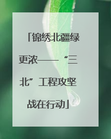 锦绣北疆绿更浓——“三北”工程攻坚战在行动