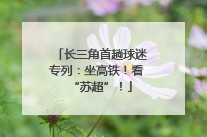 长三角首趟球迷专列：坐高铁！看“苏超”！