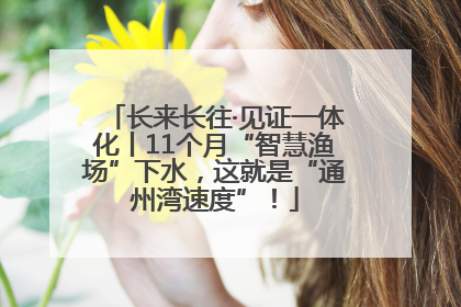长来长往·见证一体化丨11个月“智慧渔场”下水，这就是“通州湾速度”！