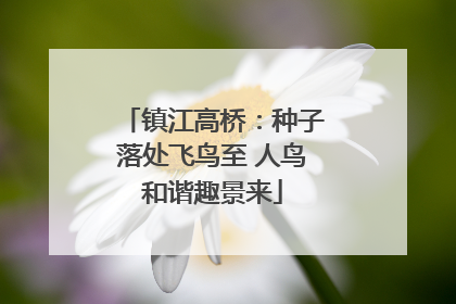 镇江高桥：种子落处飞鸟至 人鸟和谐趣景来