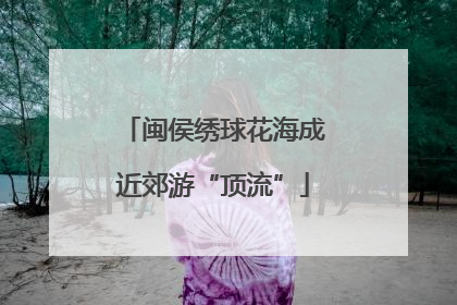 闽侯绣球花海成近郊游“顶流”
